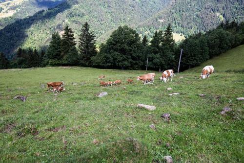 Agroturismo Tourist Farm Viso?nik