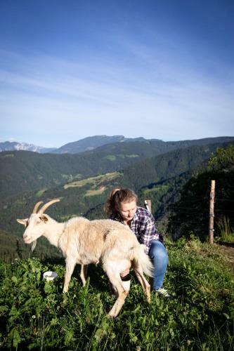 Agroturismo Tourist Farm Viso?nik