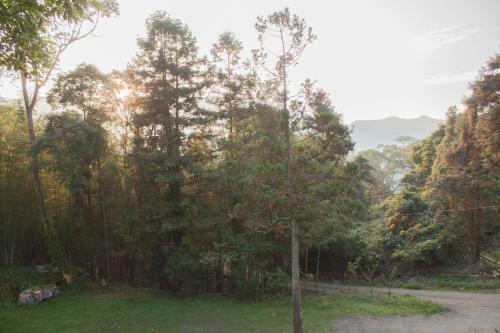 Xitou Star Homestay