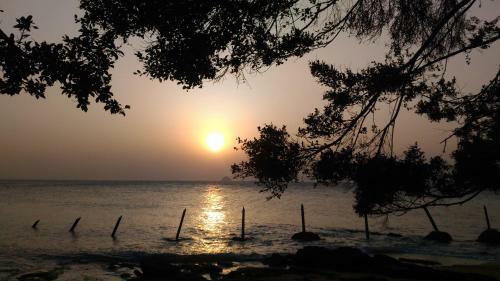 Mir Homestay