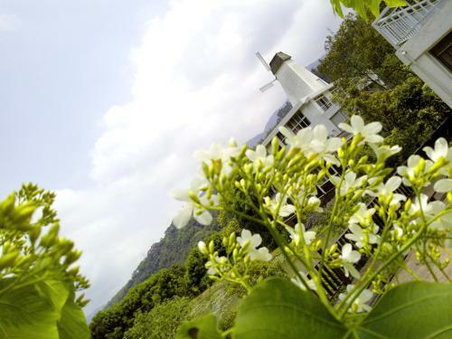 Lily Village