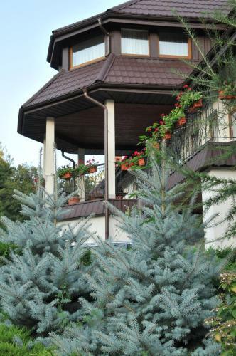 Hotel Troyanda Karpat