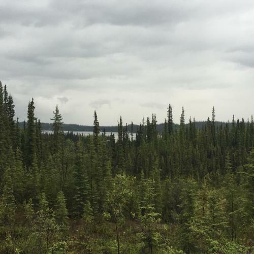 Bed & Breakfast Point Lodge Alaska