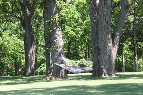 Bed & Breakfast Great Oak Manor