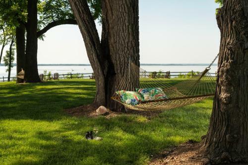 Bed & Breakfast Great Oak Manor