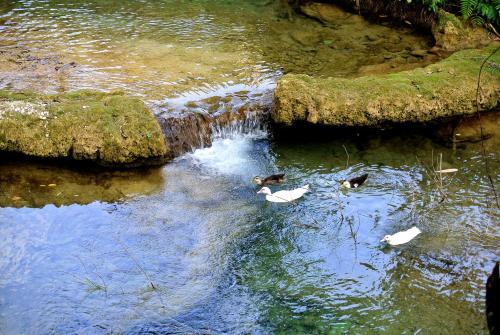 Ban Hieu Garden Lodge