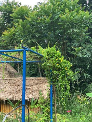Ban Hieu Garden Lodge