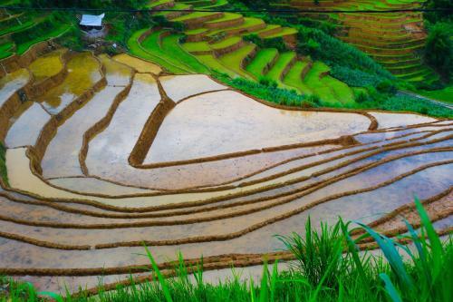 Do Gu Homestay