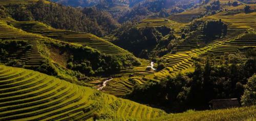 Do Gu Homestay
