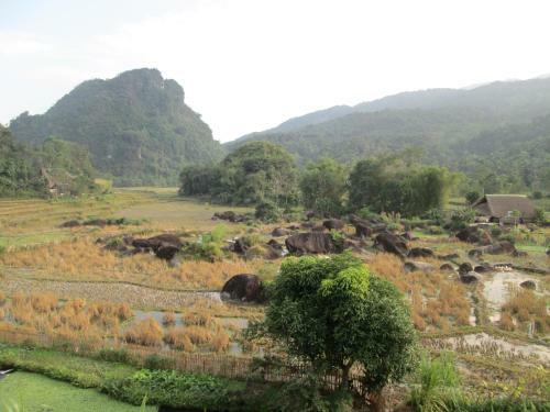 Dong Que Homestay
