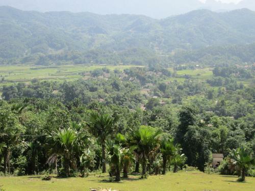 Dong Que Homestay