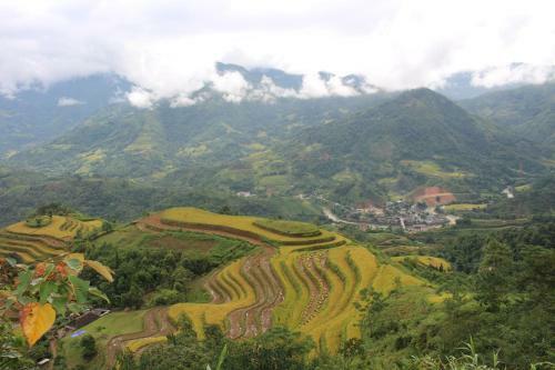 Kinh Homestay