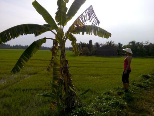 Suonsia Homestay