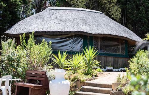 Hostal Graceplace At Loevensteyn