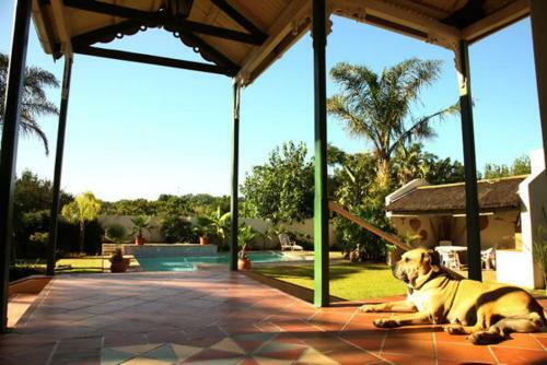 Bed & Breakfast Peppertree House Bnb And Self-catering