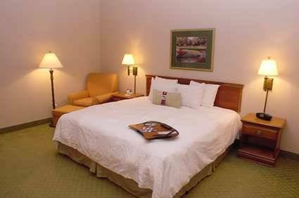 Hotel Hampton Inn Orlando International Drive / Convention Center