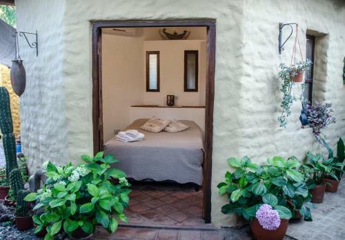 Hostal La Monta�a
