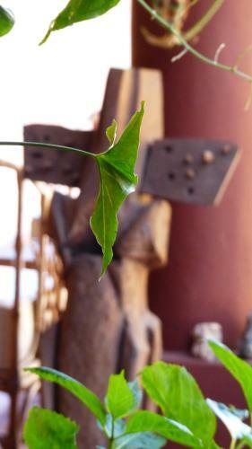 Hostal La Monta�a