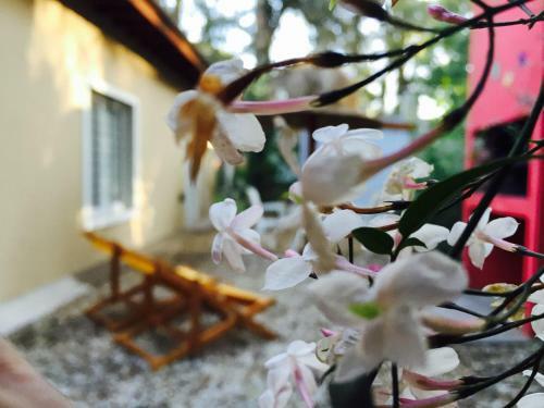 Lodge La Foret