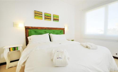 Apartamento Terra Nostra