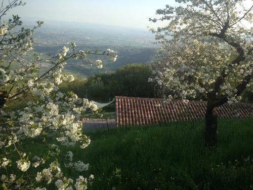 Lodge Calvenere