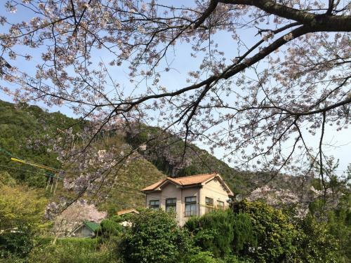 Hostal Yamaguchi Koukasha