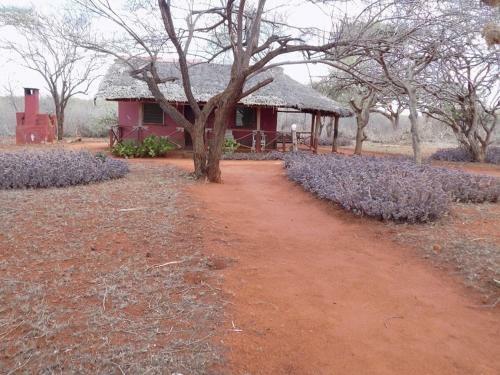 Sagala Lodge