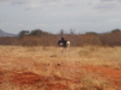 Sagala Lodge