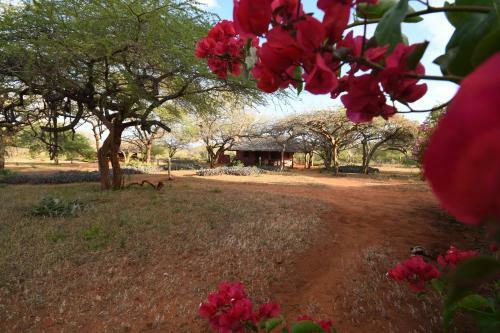 Sagala Lodge
