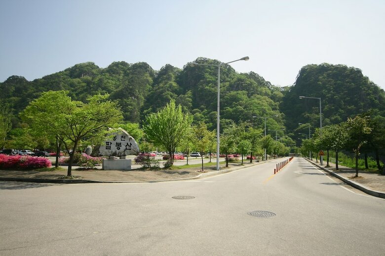 Forest Of Color Pension