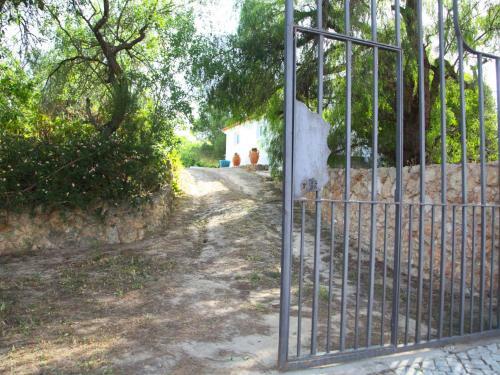 Holiday Home Quinta De Santa Teresinha