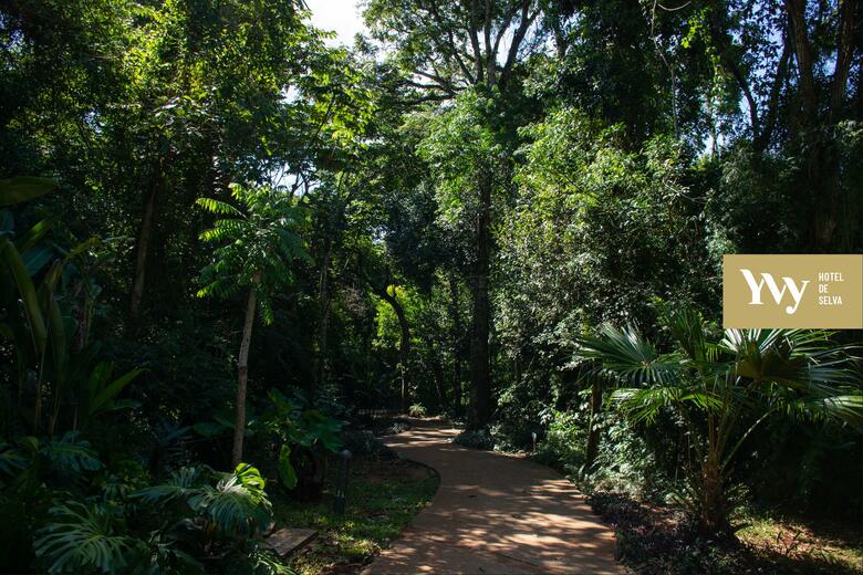 Yvy Hotel De Selva