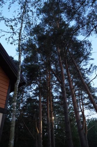 Vacation Home Ozernaya 38