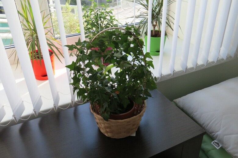 Hostel Sv