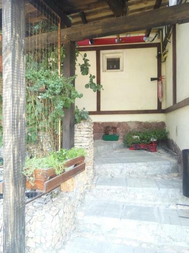Posada Guest Yard Vivat