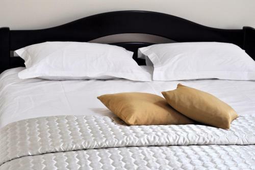 Hotel Shato Shafran