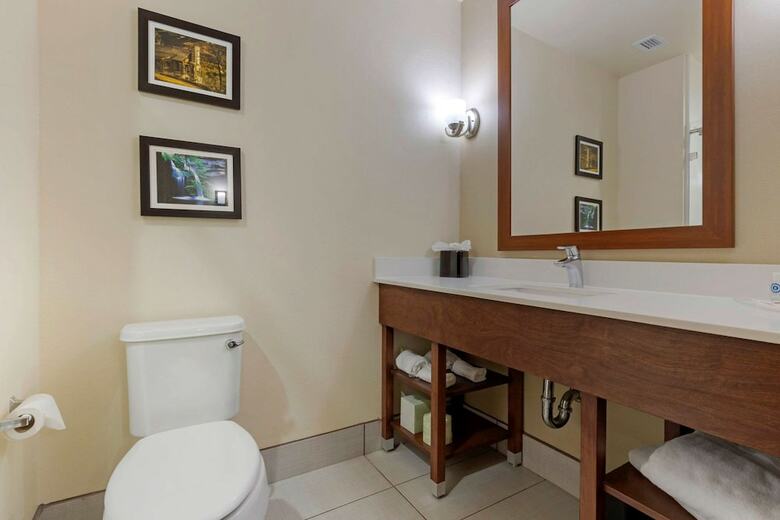 Hotel Comfort Suites Greenville South