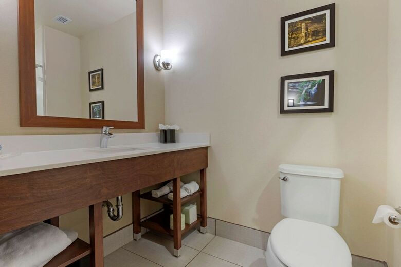 Hotel Comfort Suites Greenville South