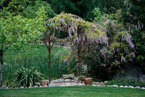 Bella Vista Bed And Breakfast