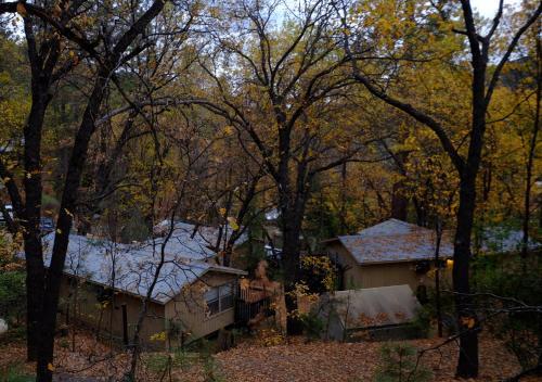 Lodge Yosemite Bug Rustic Mountain Resort