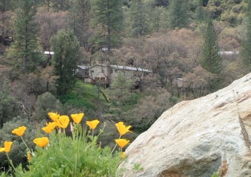 Lodge Yosemite Bug Rustic Mountain Resort