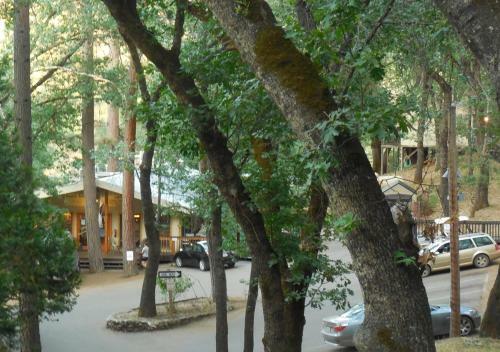 Lodge Yosemite Bug Rustic Mountain Resort