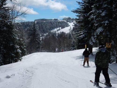 Powder Ridge #8