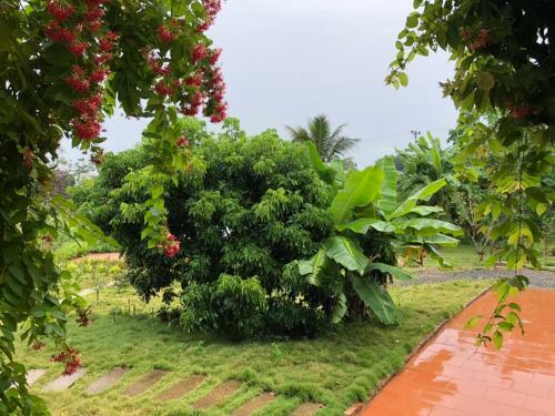 Villa Rose Garden