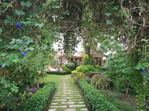 Wooden Unique Villa