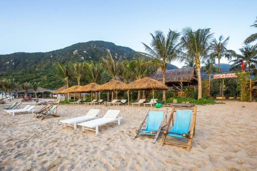 Hotel Jungle Beach