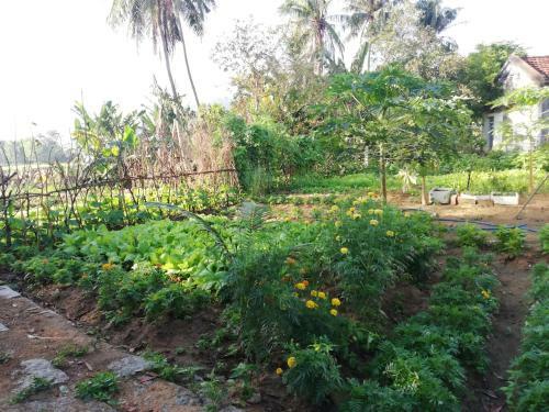 Villa Katie Homestay