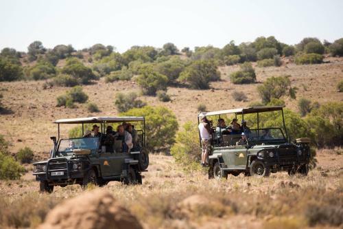 Letsatsi Game Lodge
