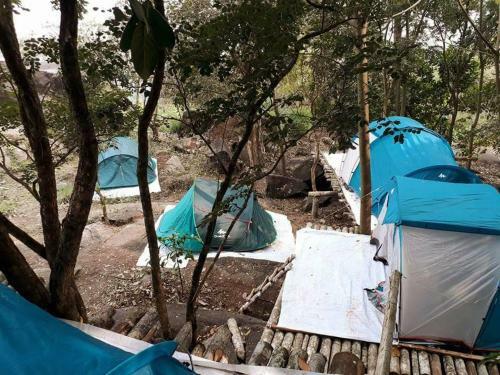 Evergreen Tent Stay & Trekking