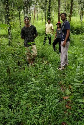 Evergreen Tent Stay & Trekking